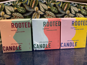 Rooted Candle